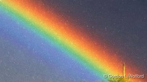 Desert Rainbow_76809crop.jpg